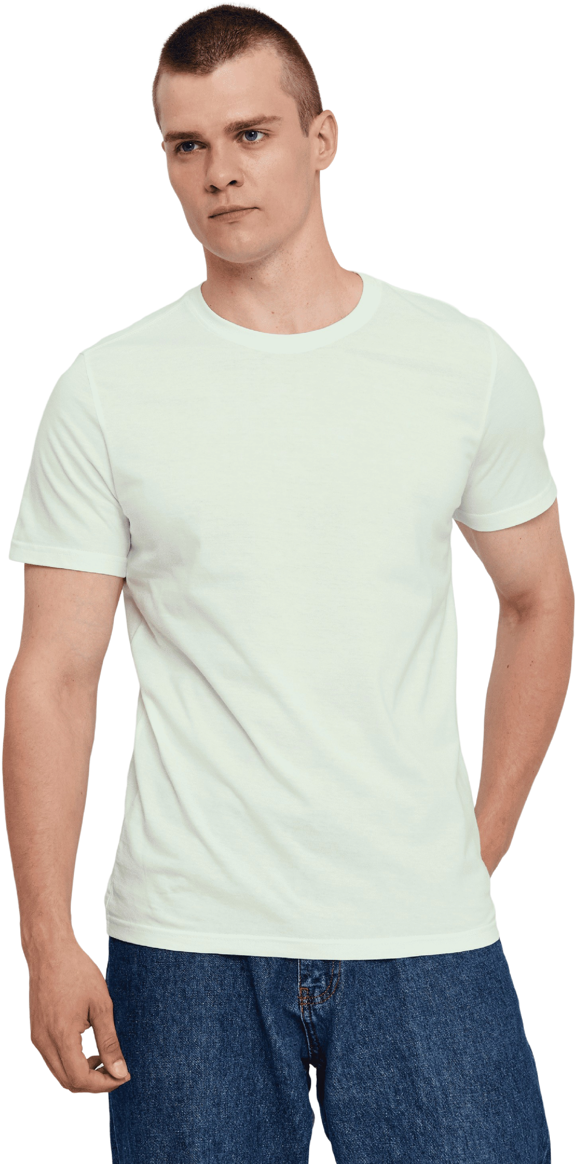 Футболка хлопковая мужская Roza 210135 4XL светло-зеленая фото 1