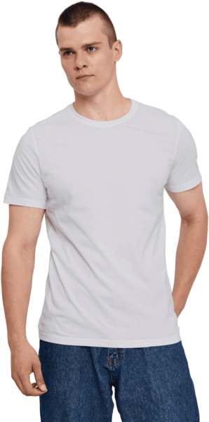 Футболка хлопковая мужская Roza 210135 XL светло-серая фото
