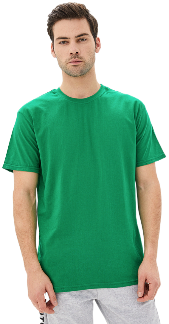 Футболка хлопковая мужская Roza 170201 XL зеленая
