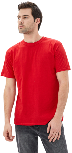 Футболка хлопковая мужская Roza 170201 L красная фото 