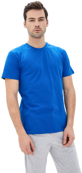 Футболка хлопковая мужская Roza 170201 S синяя фото 
