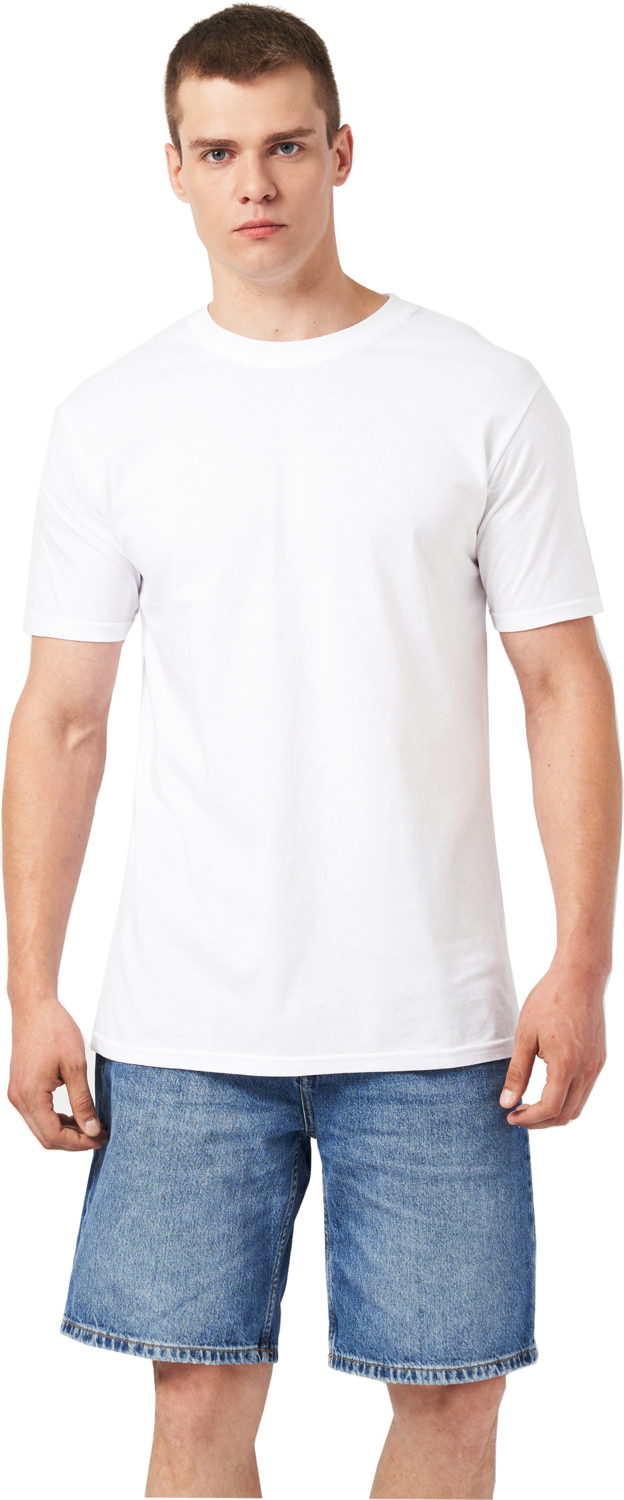 Футболка хлопковая мужская Roza 170201 2XL белая