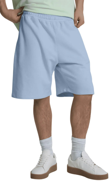 Шорты мужские Roza 240626 5XL серо-голубой фото 