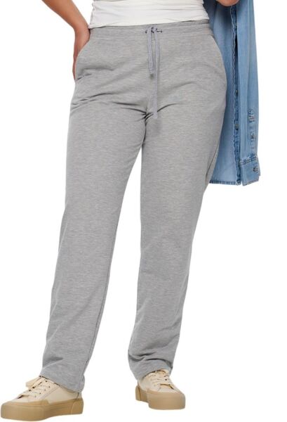 Спортивные штаны женские Roza 220505 2XL серо-меланжевые фото 