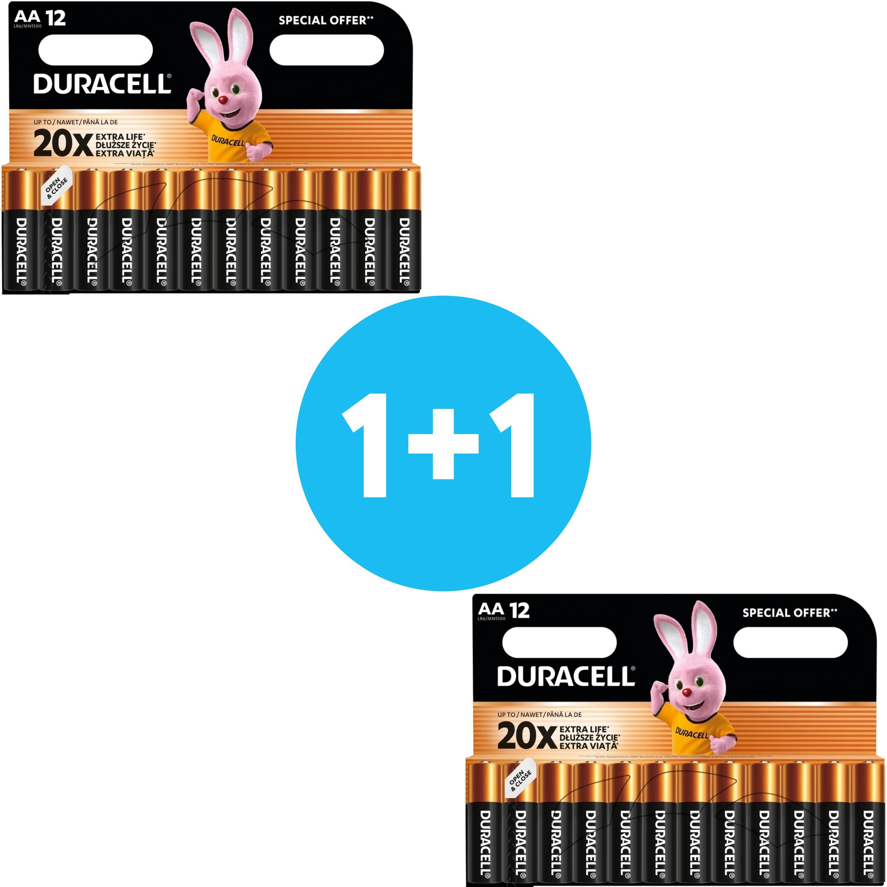 Лужні батарейки Duracell Basic AA 12 шт (5000394203334)фото1