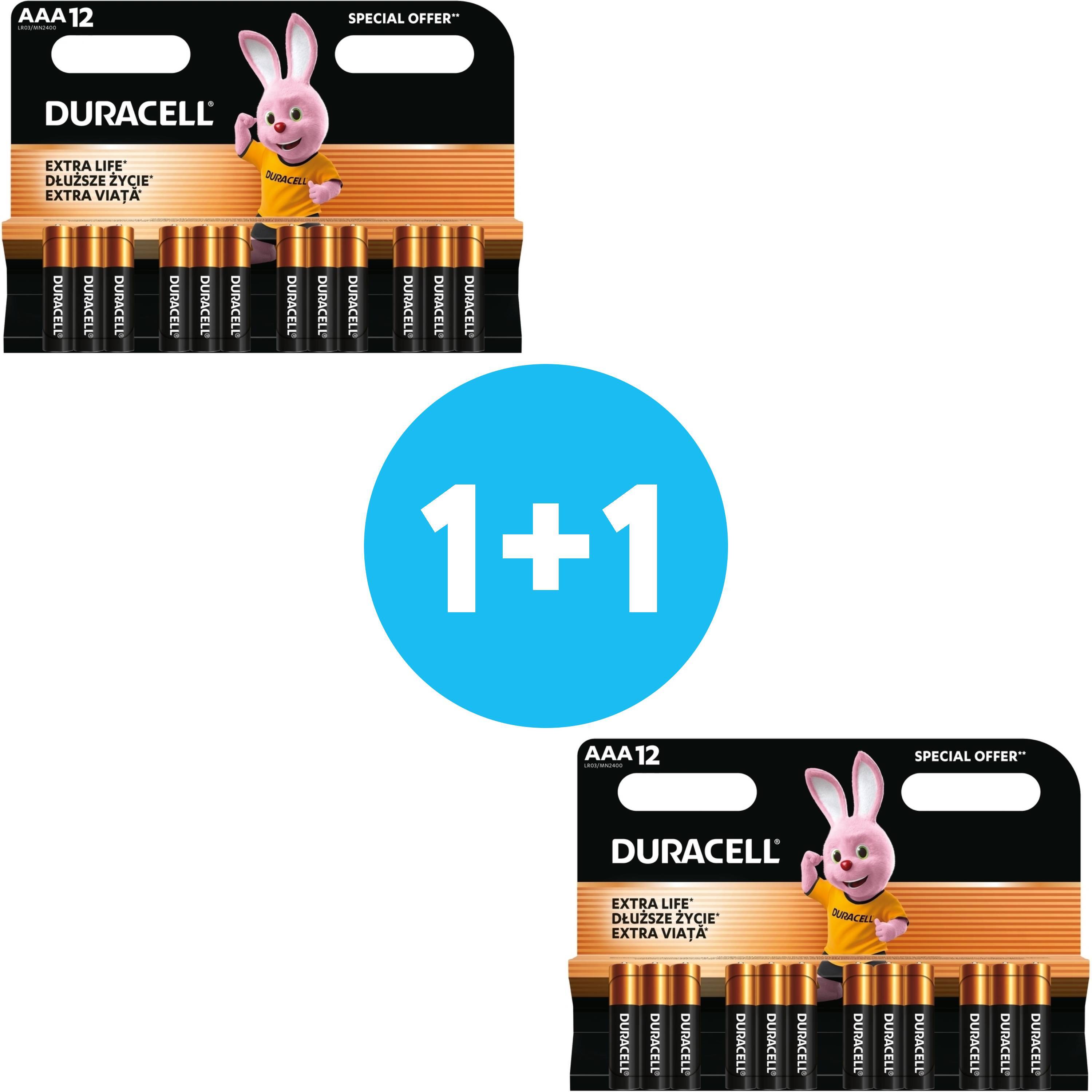 Лужні батарейки Duracell Basic AAА 12 шт (5000394203389)фото1