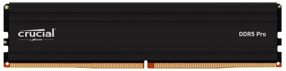 Память для ПК Micron DDR5 48GB 5600 MHz Pro (CP48G56C46U5) фото 1