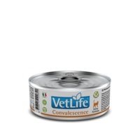 Влажный корм для кошек Farmina VetLife Convalescence диетический для восстановления питания и выздоровления 85 г