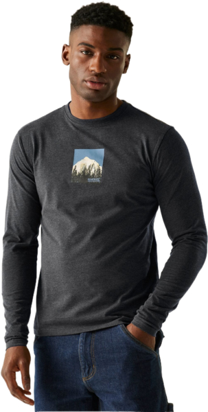 Лонгслів чоловічий Regatta Maylow RMT297-800 S чорнийфото