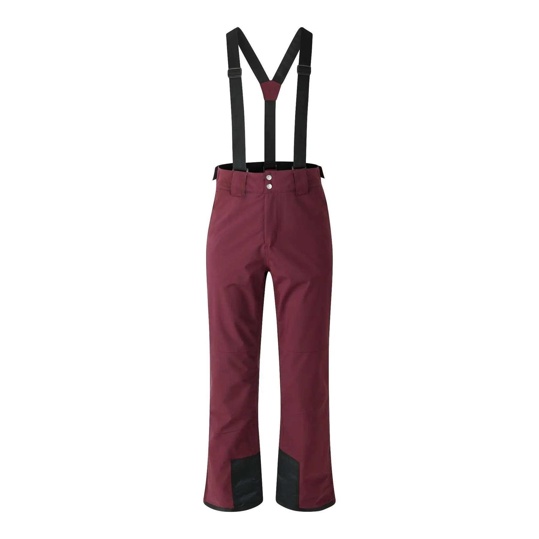 Штаны горнолыжные мужские Dare2b Achieve II Pant DMW486-909 M сливовые фото1