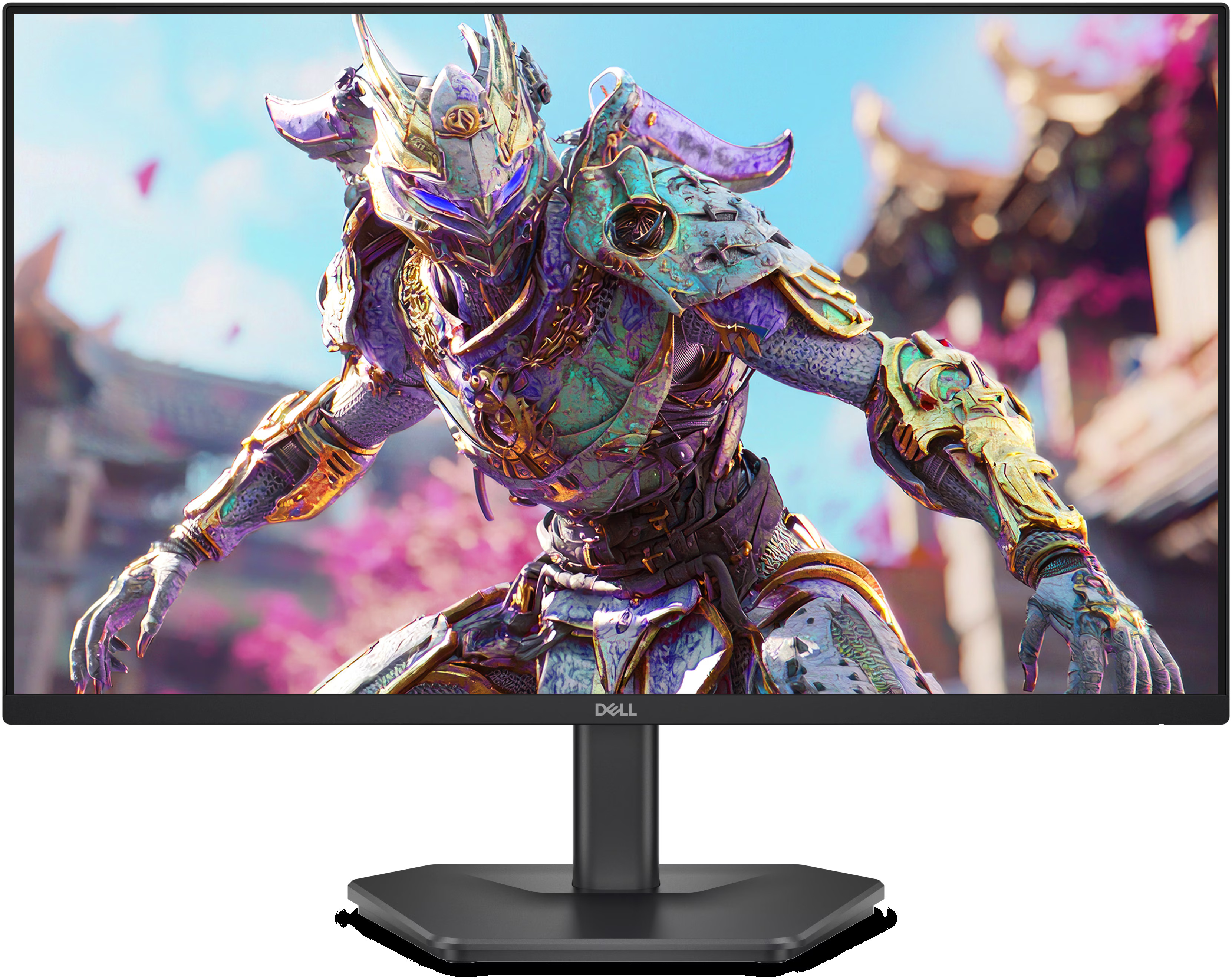 Монітор 23.8" DELL SE2426HG (210-BTTF)фото1