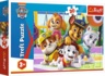 Пазлы Trefl Paw Patrol Щенячий патруль всегда вовремя 30 элементов (5900511182866)