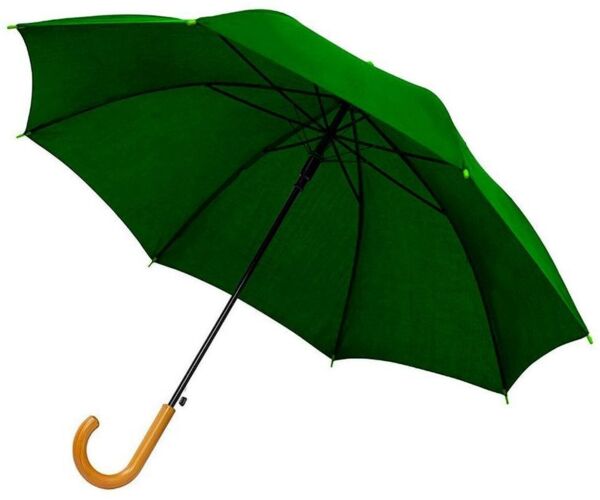 Парасоля-тростина Bergamo Promo 45100-99 темно-зеленафото