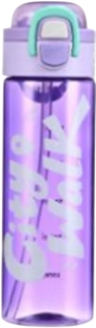 Пляшка для води ARDESTO City Walk 680мл, фіолетовий (AR2268CP)фото1