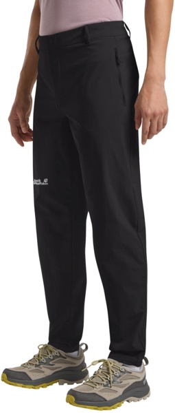 Штаны мужские Jack Wolfskin Hikeout Pants M A63924_F0302 50 серые фото 