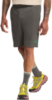 Шорты мужские Jack Wolfskin Celebrate The Paw Shorts M A65908_F0302 M коричнивые