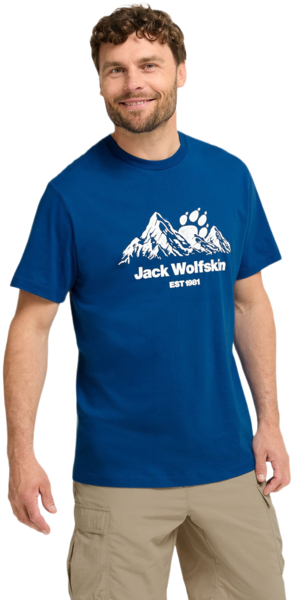 Футболка мужская Jack Wolfskin Carefree T M A66090_T0464 XL синяя фото 