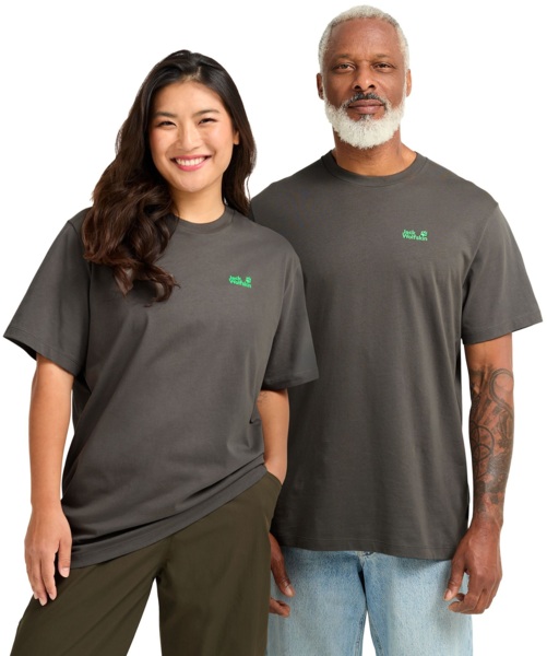 Футболка мужская Jack Wolfskin Live Wild T A66098_T0404 S коричневая фото 