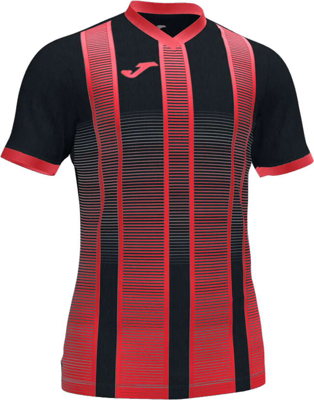 Футболка мужская JOMA Tiger II 101464.106 M черная фото 1