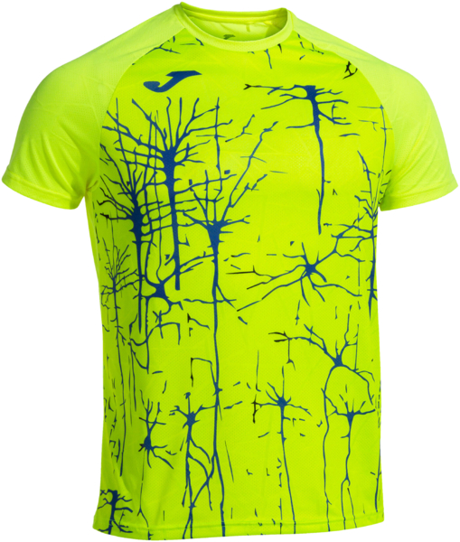 

Футболка мужская JOMA Elite IX 102755.067 M желтая