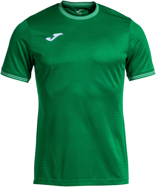 

Футболка мужская JOMA Toletum V 103362.450 M зеленая