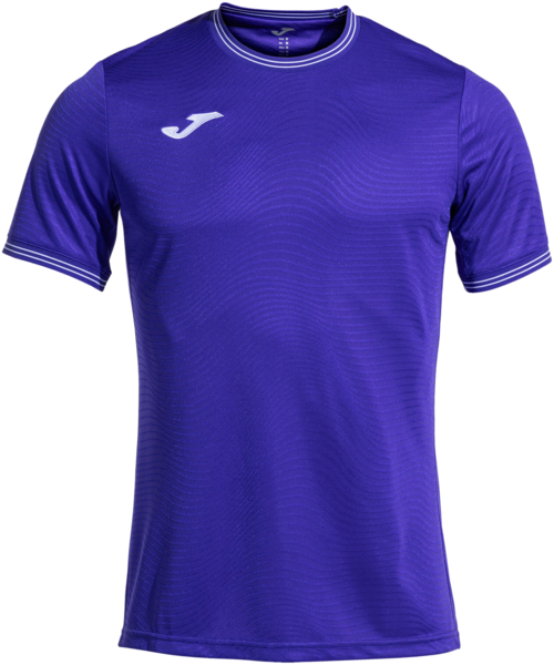 

Футболка мужская JOMA Toletum V 103362.550 M фиолетовая
