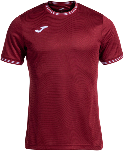 

Футболка мужская JOMA Toletum V 103362.671 L бордовая
