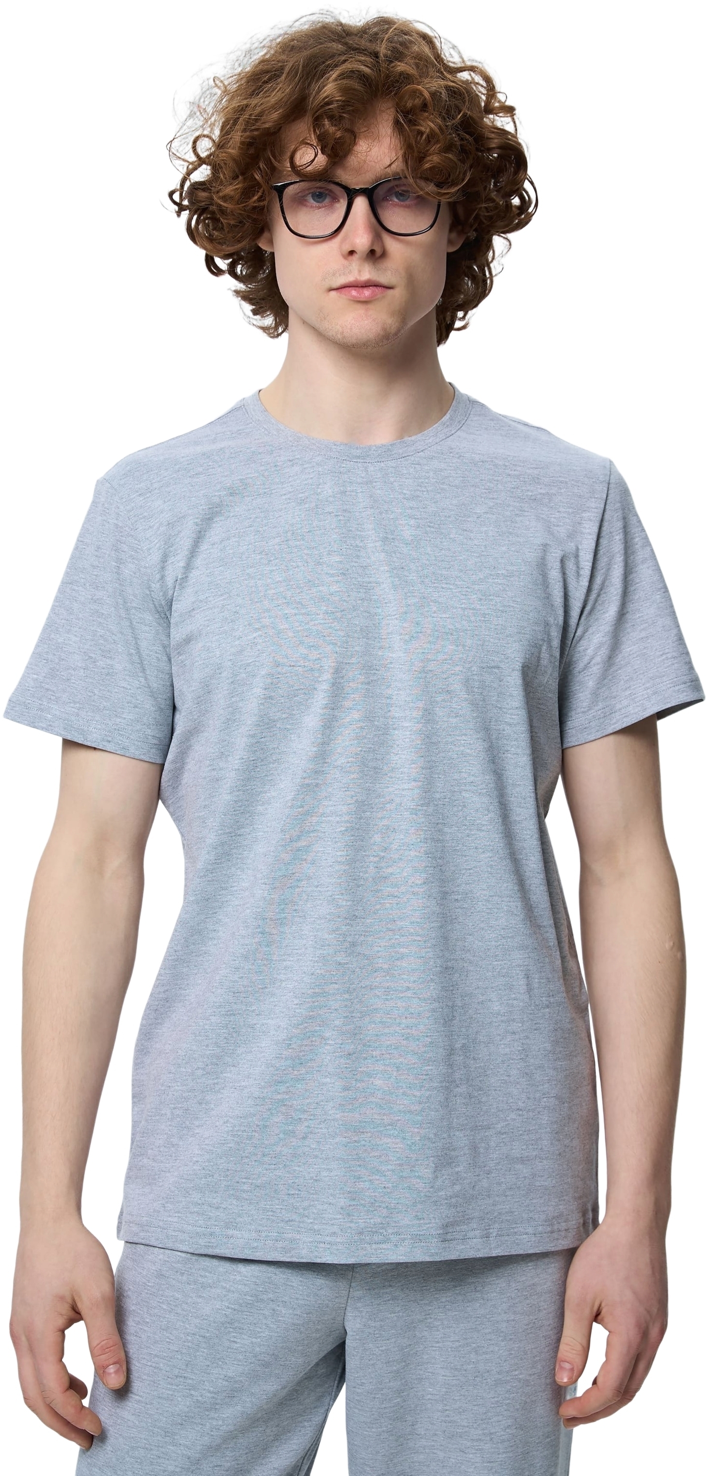 Футболка бавовняна чоловіча Roza 210135 4XL сірафото1