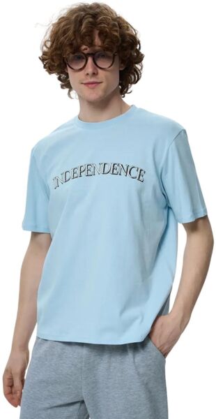 Футболка чоловіча Roza 220913 XL сіро-блакитнафото