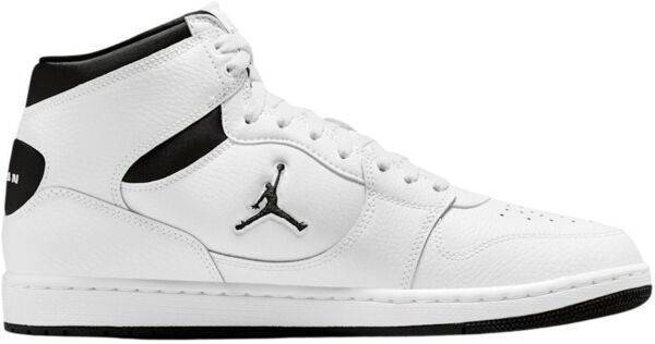 Кроссовки мужские NIKE Jordan Court Connect Mid IQ5685-100 41 (8 US) белые фото 
