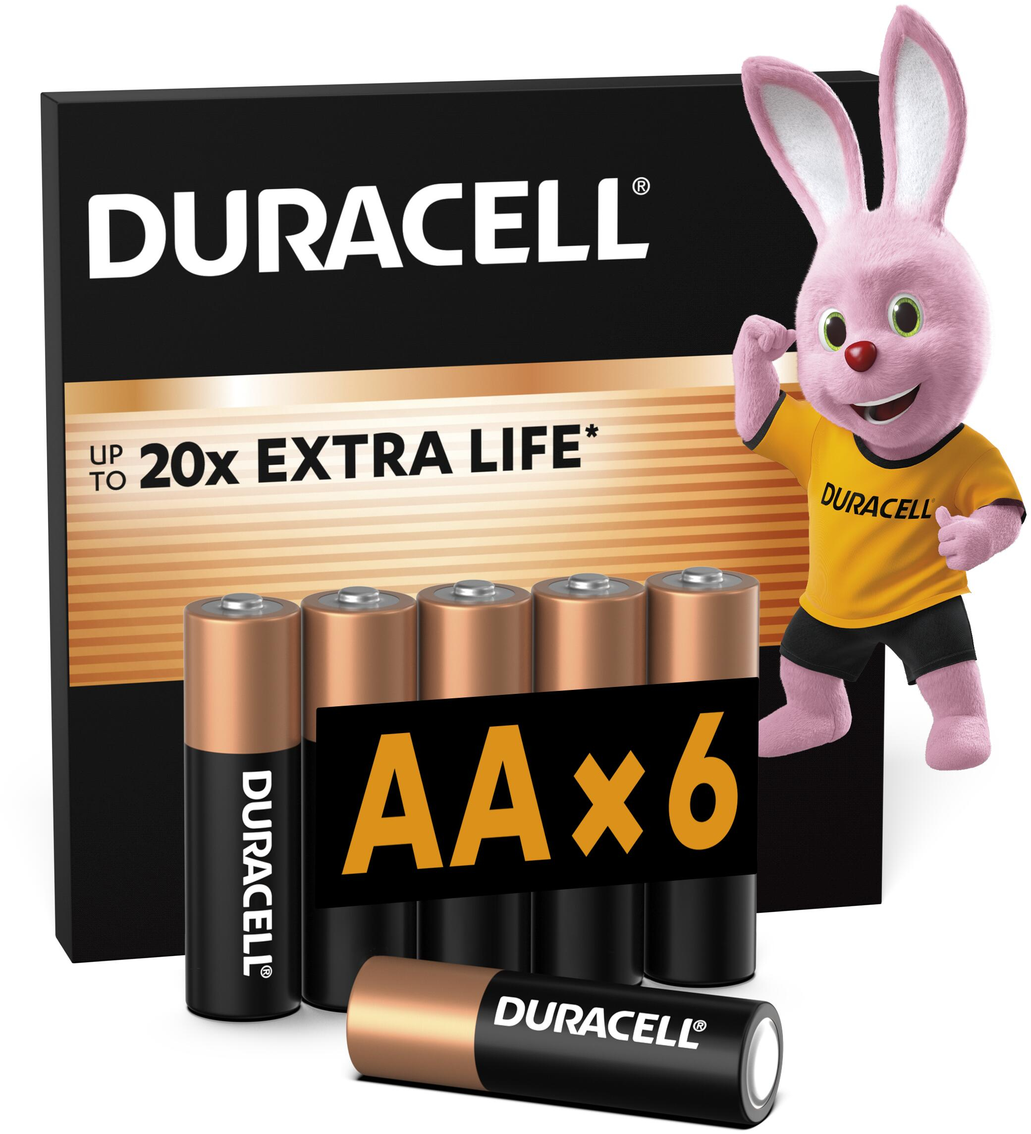 Батарейки Duracell Basic AA алкалиновые 1.5V LR03 6 шт (5000394142183) фото 1