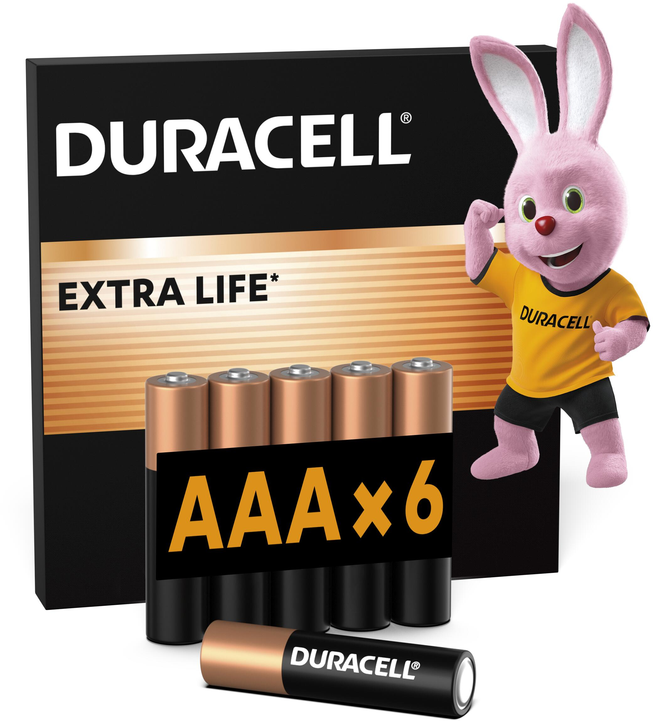 Батарейки Duracell Basic AAA алкалиновые 1.5V LR03 6 шт (5000394142404) фото 1