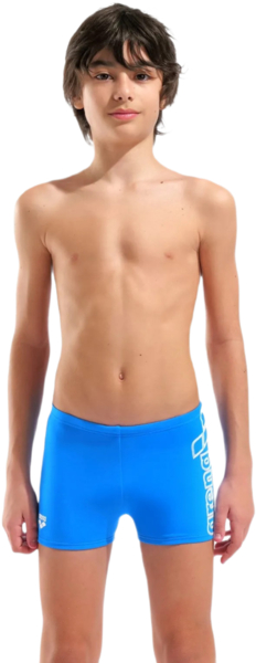 Плавки-шорты для мальчиков Arena Logo Swim Short 010349-508 140 голубые фото