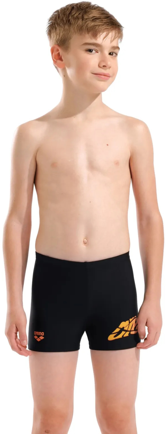 Плавки Arena Lettering Swim Short 010864-500 116 черные