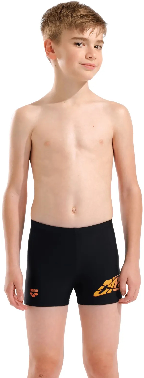 Плавки Arena Lettering Swim Short 010864-500 116 черные фото 1