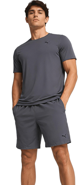 

Спортивные шорты мужские Puma Tad Essentials 7' ven Short 525910-69 S серые