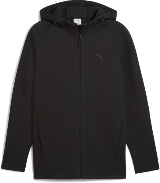 

Толстовка мужская Puma Evostripe Core Fz Hoodie 631529-01 M черная