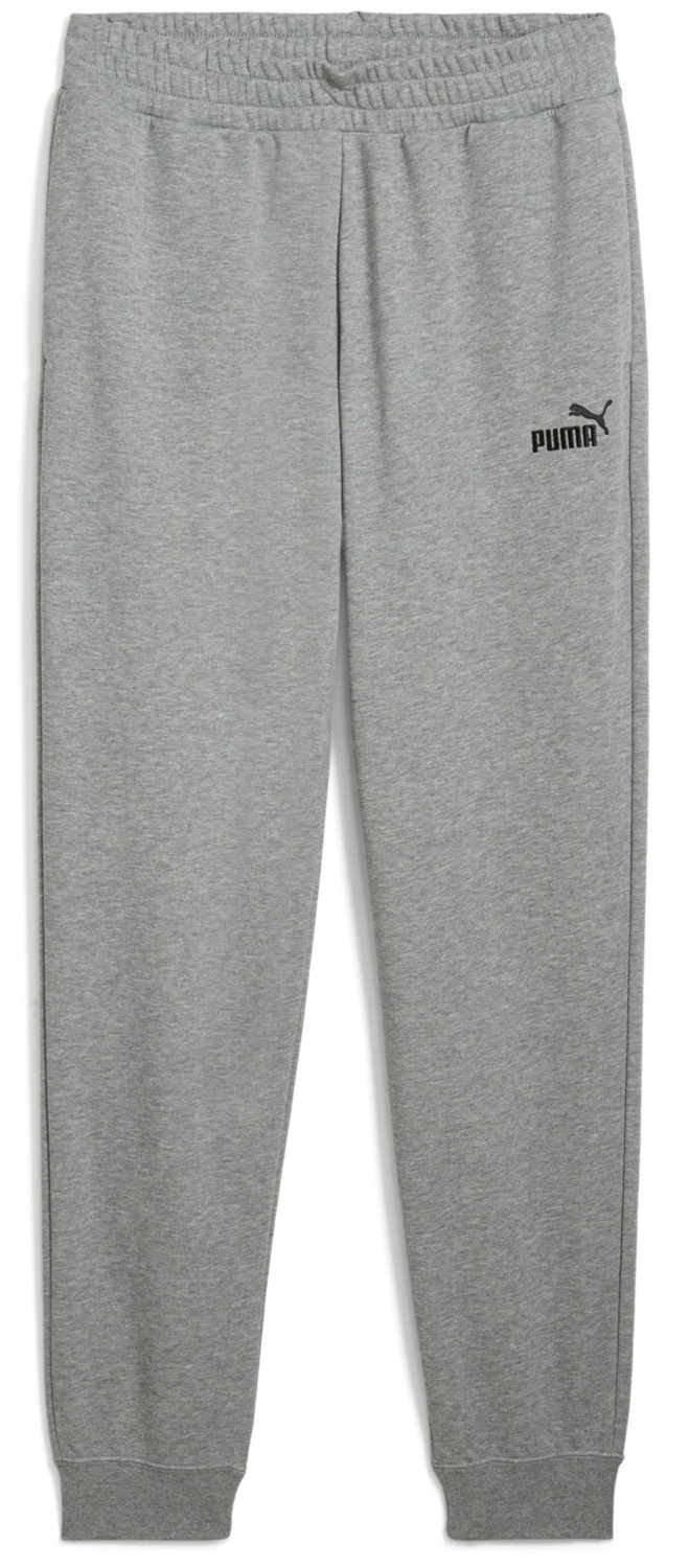 Спортивные штаны мужские Puma Ess No. 1 Logo Seatpants 682608-03 S серые