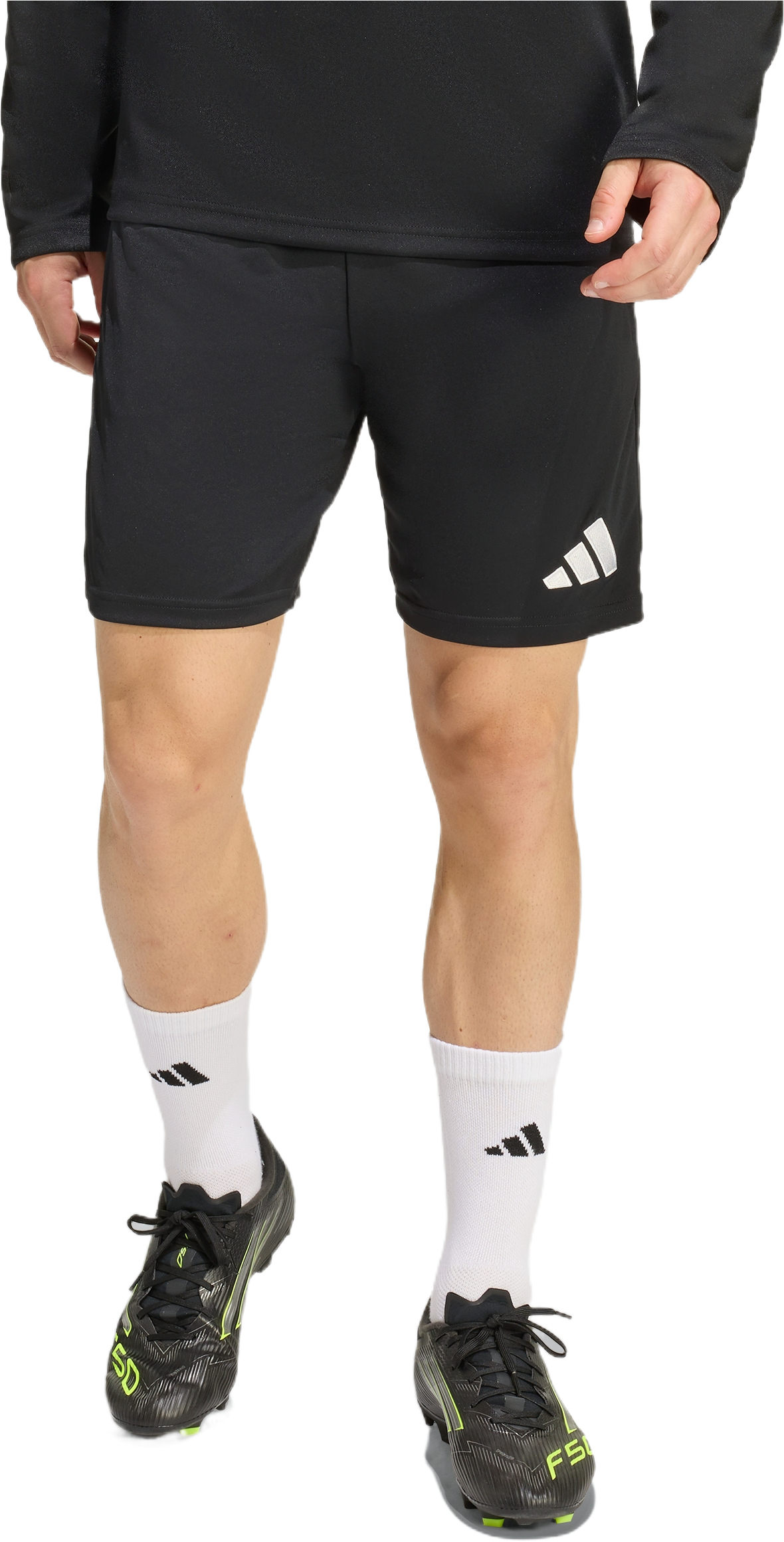Спортивные шорты мужские Adidas Entrada 26 Training KD0985 L черные фото 1