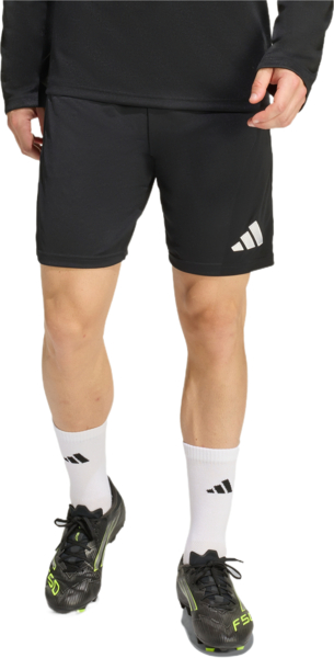 Спортивные шорты мужские Adidas Entrada 26 Training KD0985 L черные фото