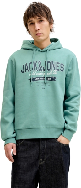 Худи мужское Jack & Jones Jjelogo Sweat Hood 2 Col 25/26 Noos 12279649 2XL мятное