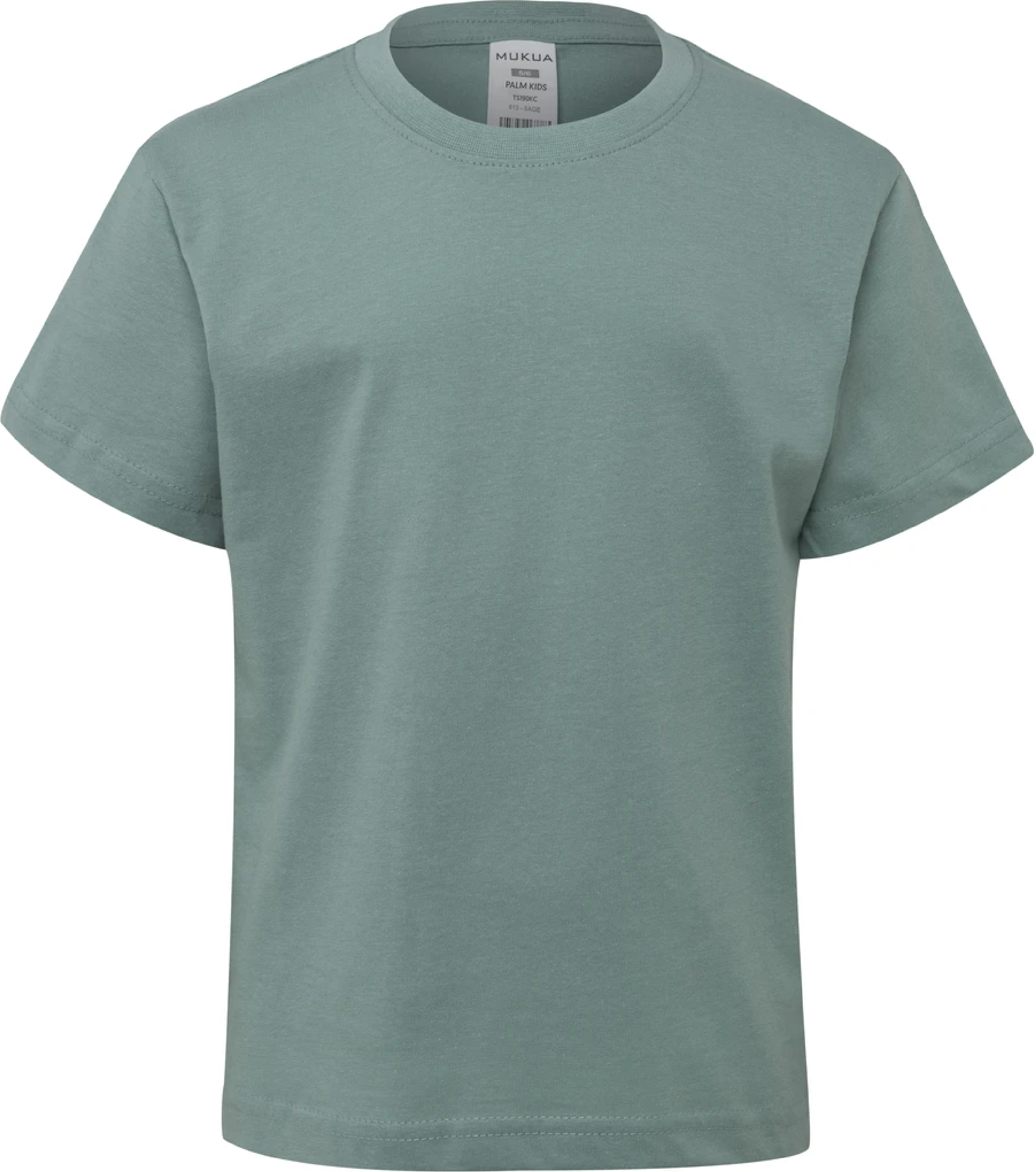 Футболка хлопковая детская Mukua Palm Kids TS190KC_613 12/14 бирюзовая фото 1