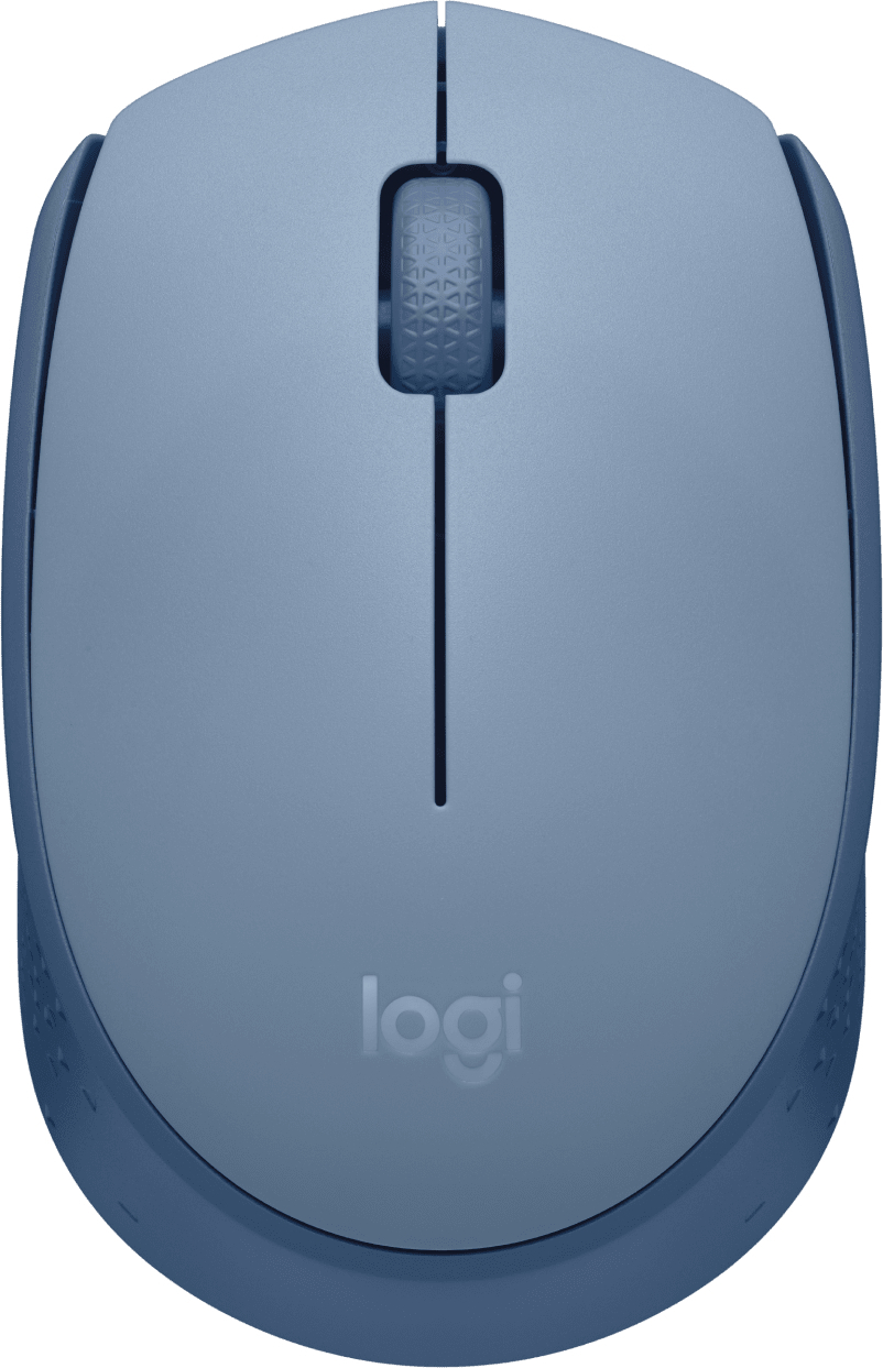 Мышь Logitech M171 Wireless Mouse, 2.4GHZ BLUE/GREY фото1