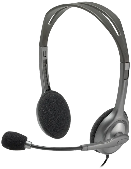 Гарнитура Logitech H110 Corded Stereo Headset, GRAY/SILVER фото1