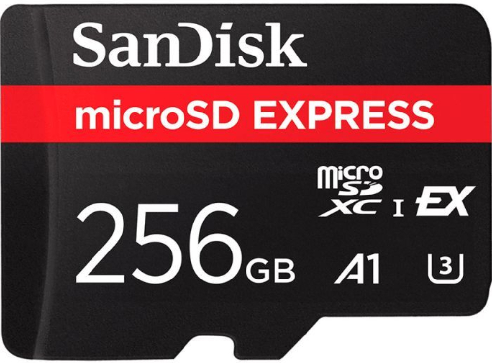 Карта памяти microSD 256Gb SanDisk Express Class 10 UHS-I U3 A1 (SDSQXFN-256G-GN4NN) фото1