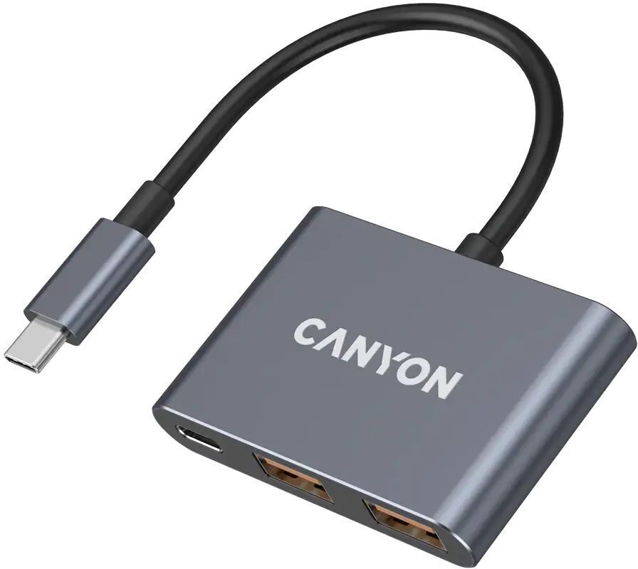 USB-хаб Canyon DS-3 3in1 USB-C Dark Grey (CNS-TDS3) фото1