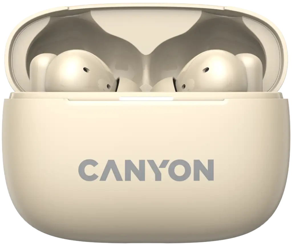 Наушники Canyon OnGo TWS-10 ANC ENC Black (CNS-TWS10BG)