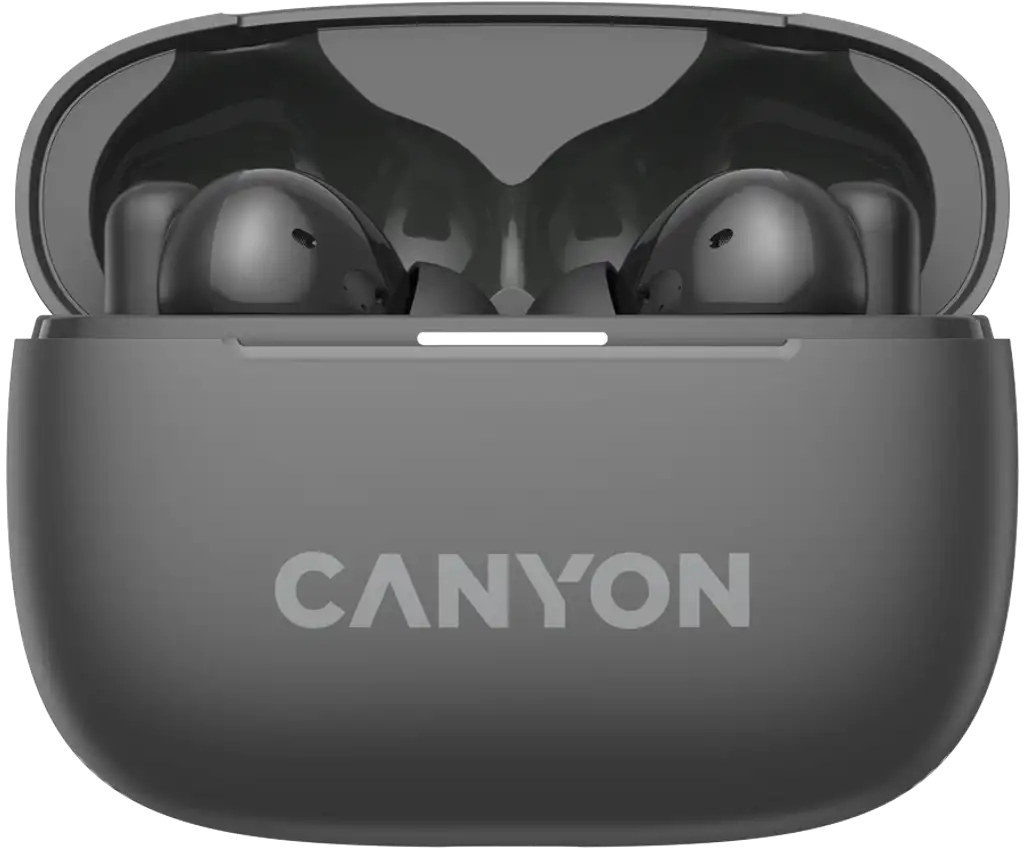 Наушники Canyon OnGo TWS-10 ANC ENC Grey (CNS-TWS10BK)