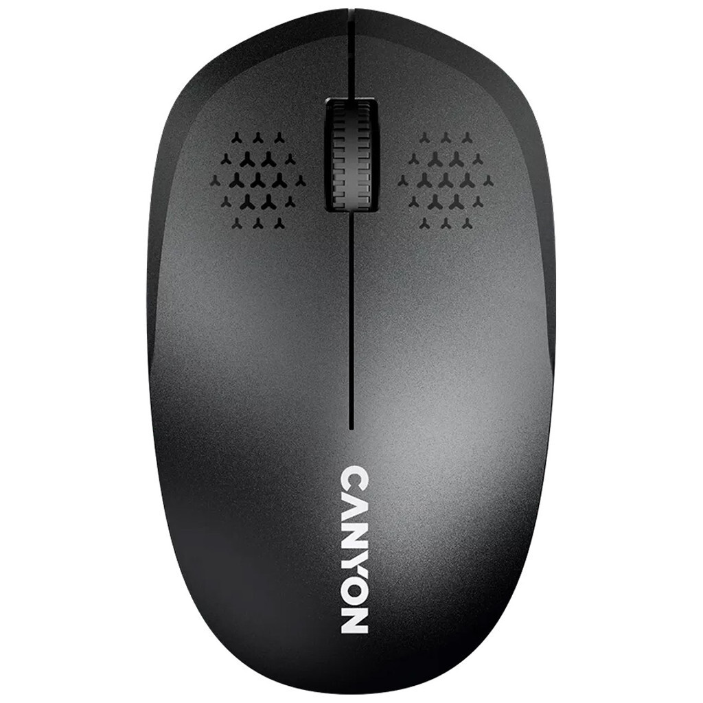 Мышь Canyon MW-04 Black (CNS-CMSW04B) фото1