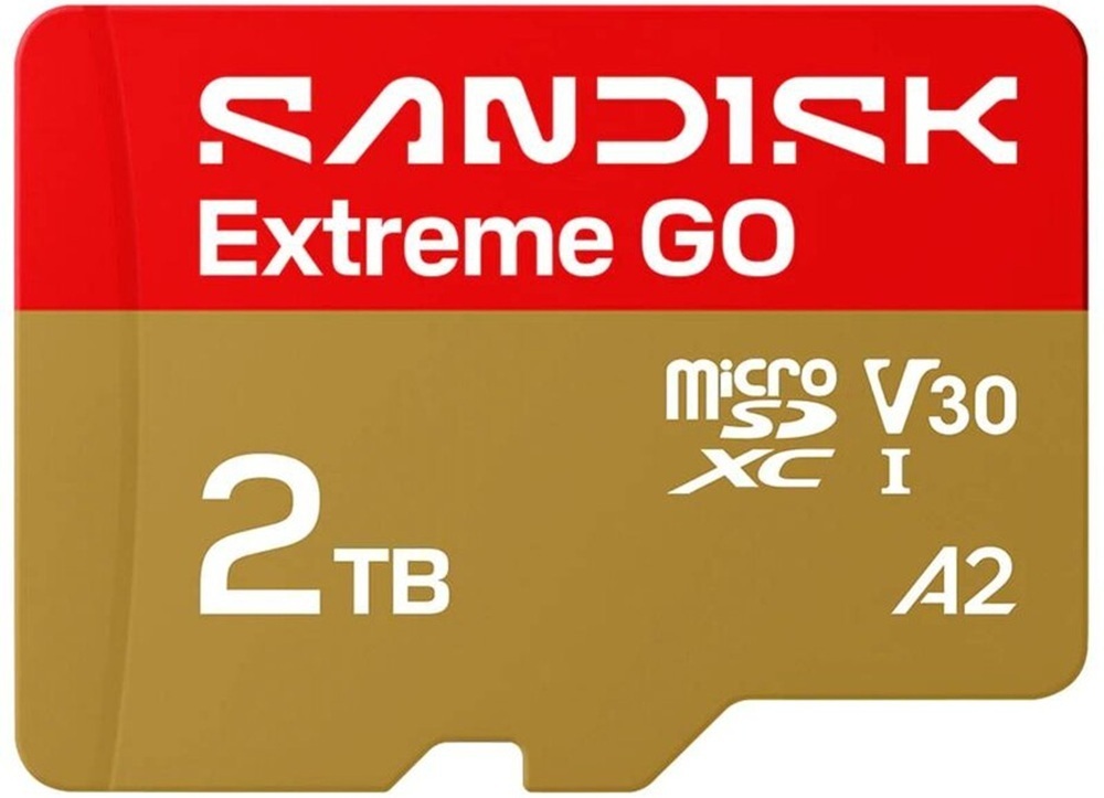 Карта памяти SANDISK Extreme GO SDXC 2TB (SDSQXGN-2T00-GN6MN) фото1